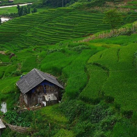 Freedom Homestay & Trekking Sa Pa Zewnętrze zdjęcie