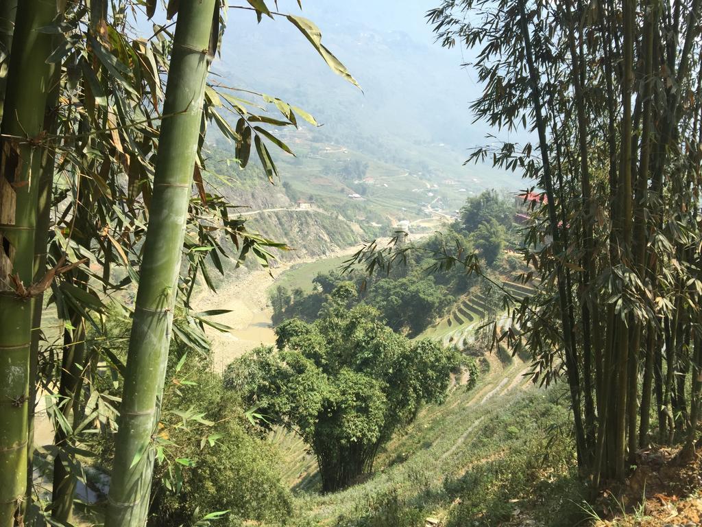 Freedom Homestay & Trekking Sa Pa Zewnętrze zdjęcie