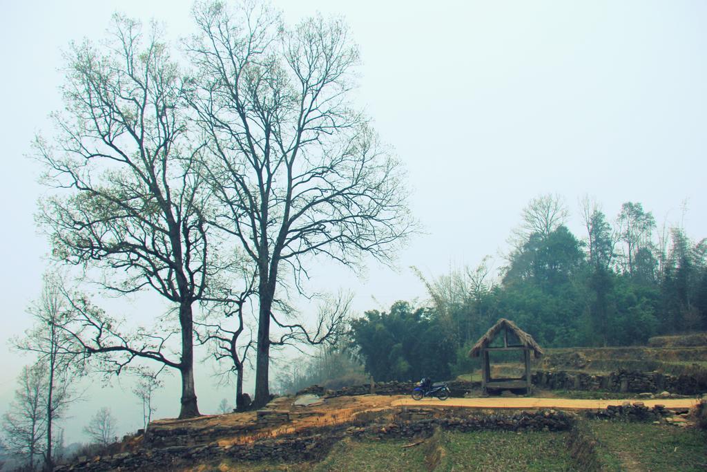Freedom Homestay & Trekking Sa Pa Zewnętrze zdjęcie