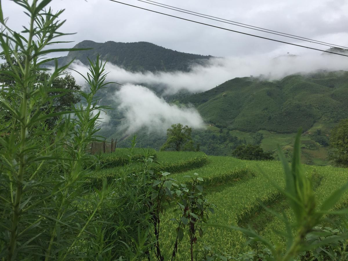 Freedom Homestay & Trekking Sa Pa Zewnętrze zdjęcie