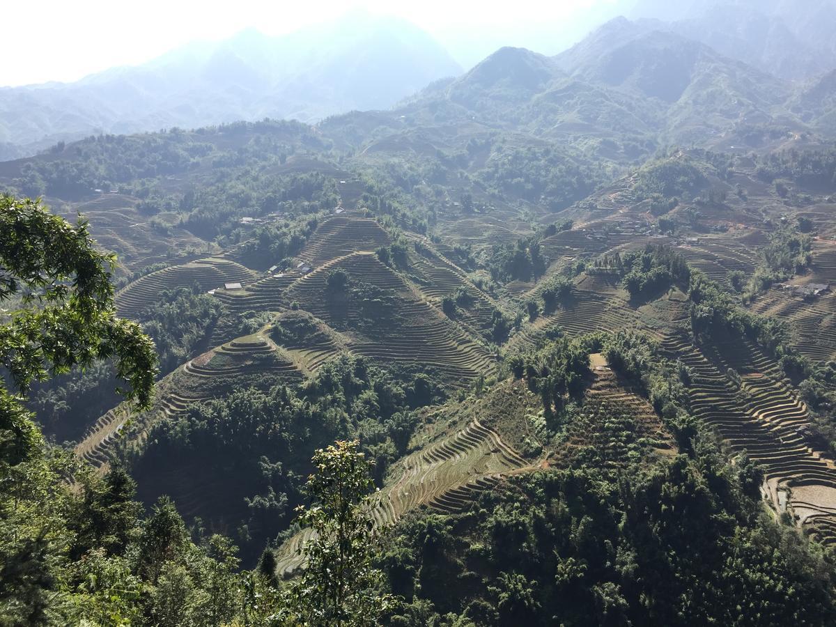 Freedom Homestay & Trekking Sa Pa Zewnętrze zdjęcie